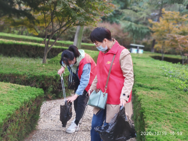 IMG_20201019_165915.jpg IMG_20201019_165915.jpg